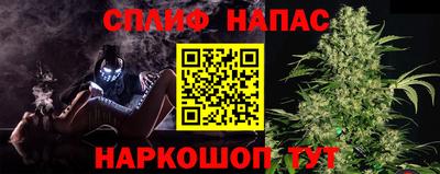 МДПВ Сланцы