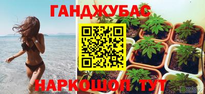 МДПВ Сланцы
