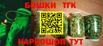 МДПВ Сланцы