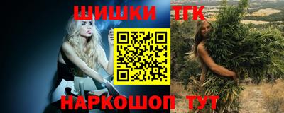 МДПВ Славгород